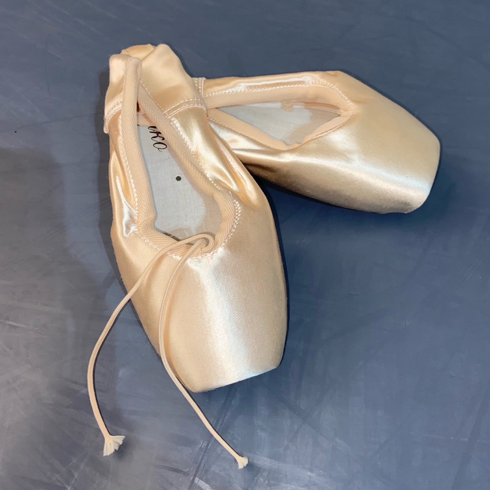 Grishko Pointe Shoes • 2007